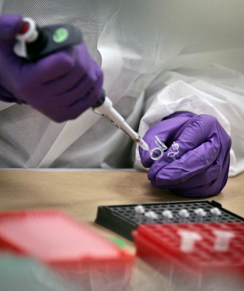 Muestras en la laboratorio forense. AP